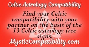 Celtic Astrology Compatibility