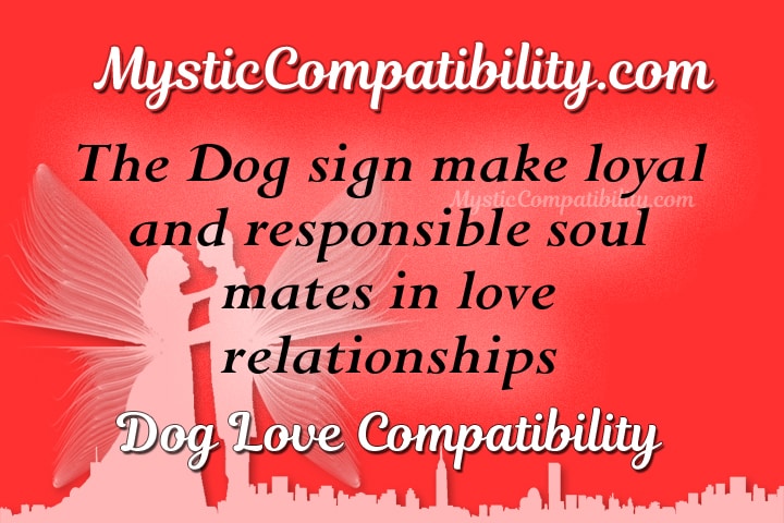 dog compatibility