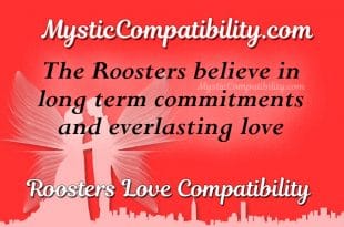 Rooster Compatibility