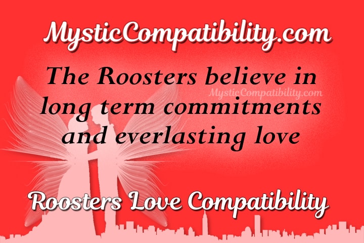 rooster compatibility