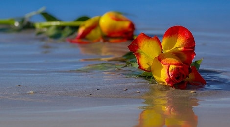 How a Bad Relationship Can Ruin your Health - Mystic Compatibility