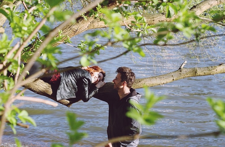 couple on top of a tree