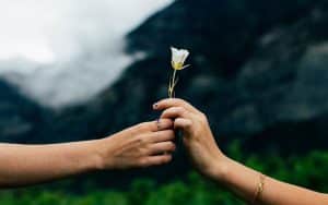 hands holding flower