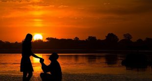 sunset proposal