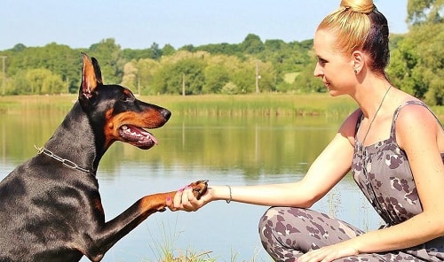 woman with a pet dog