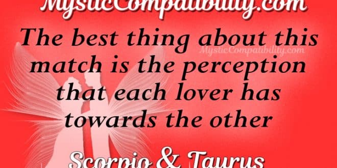 this magnificent phrase