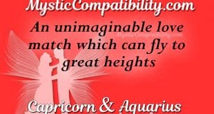 Capricorn Aquarius Compatibility