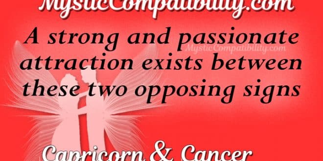 what is a capricorn compatible with