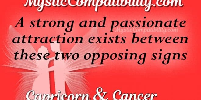 Cancer and Capricorn friendship
