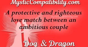 dog dragon compatibility