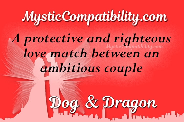 dog dragon compatibility