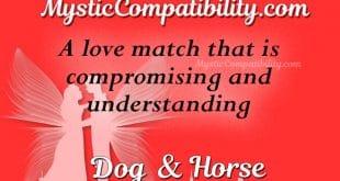 dog horse compatibility