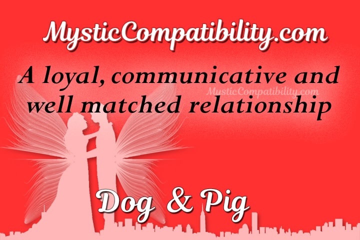 dog pig compatibility