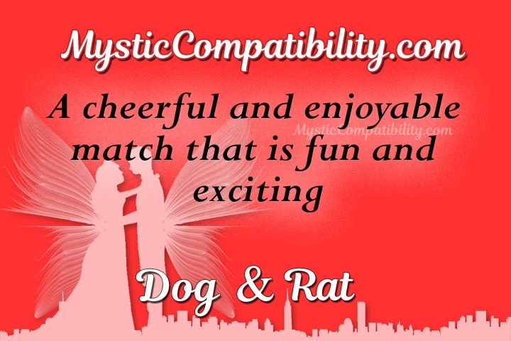 dog rat compatibility