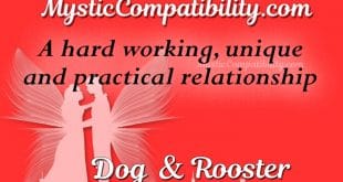 dog rooster compatibility