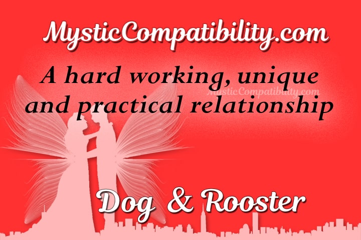 dog rooster compatibility