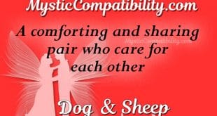 dog sheep compatibility