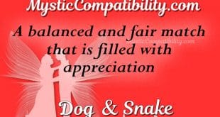 dog snake compatibility