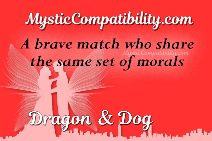 Dragon Dog Compatibility