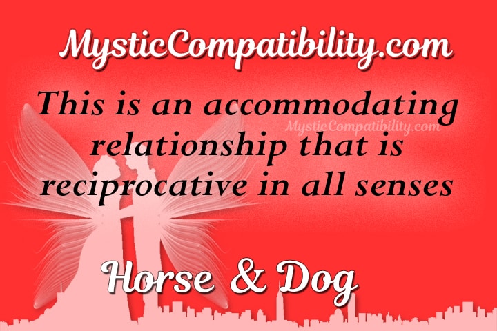 horse dog compatibility