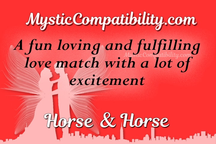 horse horse compatibility