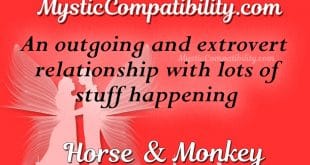 horse monkey compatibility