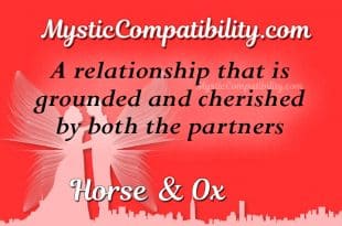 Horse Ox Compatibility - Mystic Compatibility