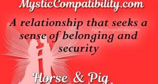 horse pig compatibility