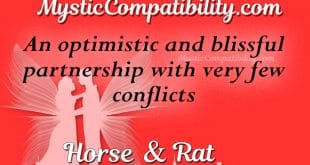 horse rat compatibility