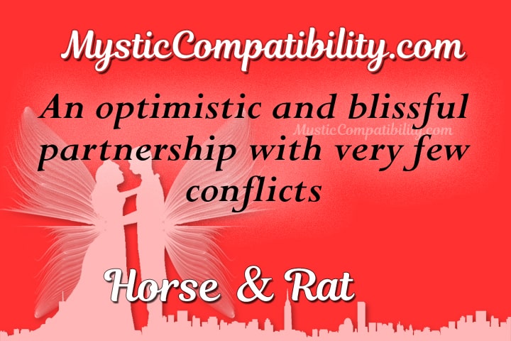 horse rat compatibility