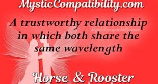 horse rooster compatibility