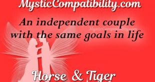 horse tiger compatibility