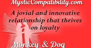 monkey dog compatibility