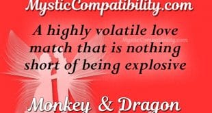 monkey dragon compatibility