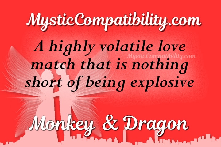 monkey dragon compatibility