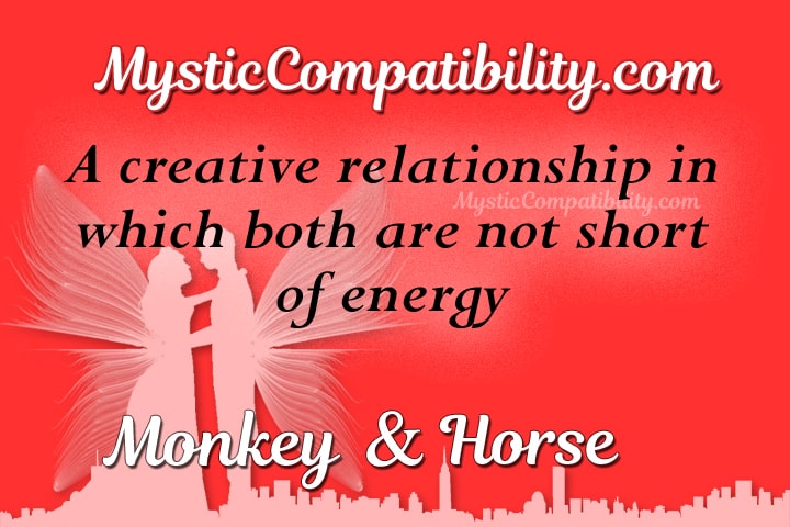 monkey horse compatibility