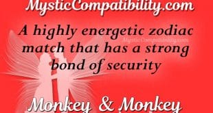 monkey monkey compatibility