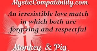 monkey pig compatibility