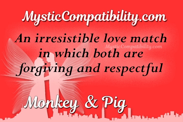 monkey pig compatibility