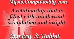 monkey rabbit compatibility