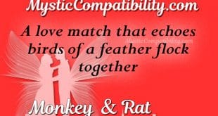 monkey rat compatibility