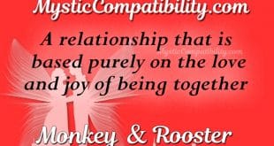 monkey rooster compatibility