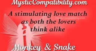 monkey snake compatibility