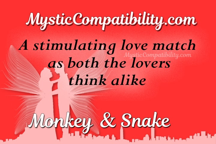 monkey snake compatibility