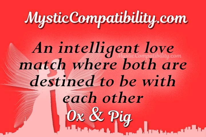 Ox Pig Compatibility