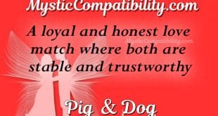 pig dog compatibility