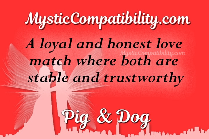 pig dog compatibility