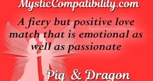 pig dragon compatibility