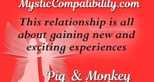 pig monkey compatibility