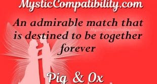 pig ox compatibility